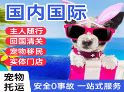 怀化空运国际宠物托运 【国